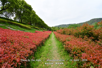 莲花池陈圆圆画像碑、